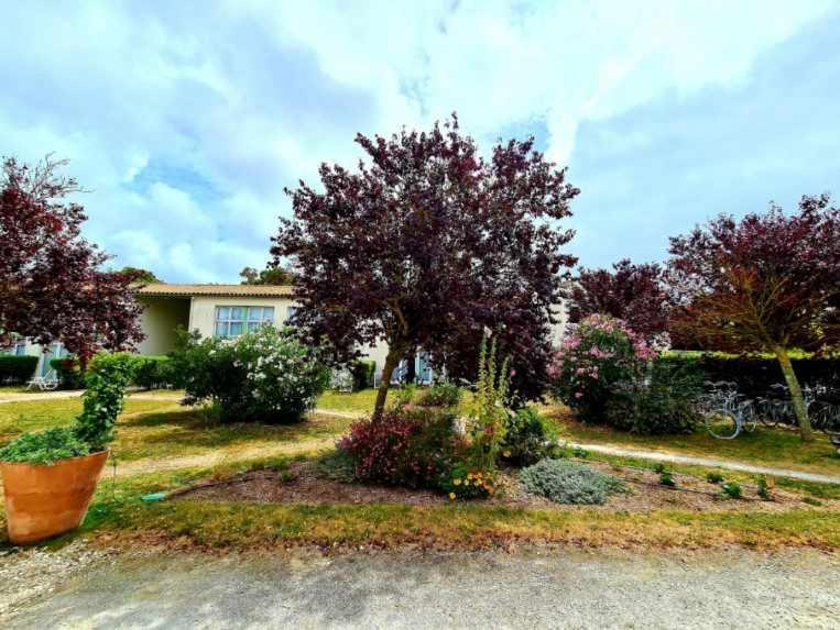 Appartement 91 Palais Des Gouverneurs Saint-Martin-de-Ré Εξωτερικό φωτογραφία
