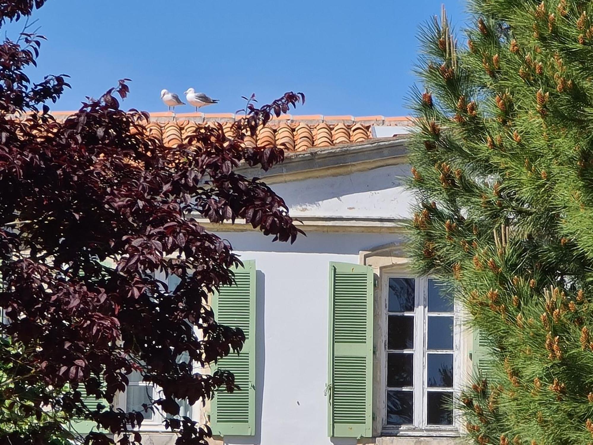 Appartement 91 Palais Des Gouverneurs Saint-Martin-de-Ré Εξωτερικό φωτογραφία